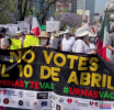 NO a Consulta Gansito